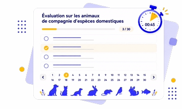 Illustration d'un QCM chronométré pour l'évaluation ACACED