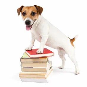 Chien à côté d'une pile de livres